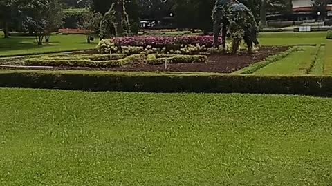flower garden