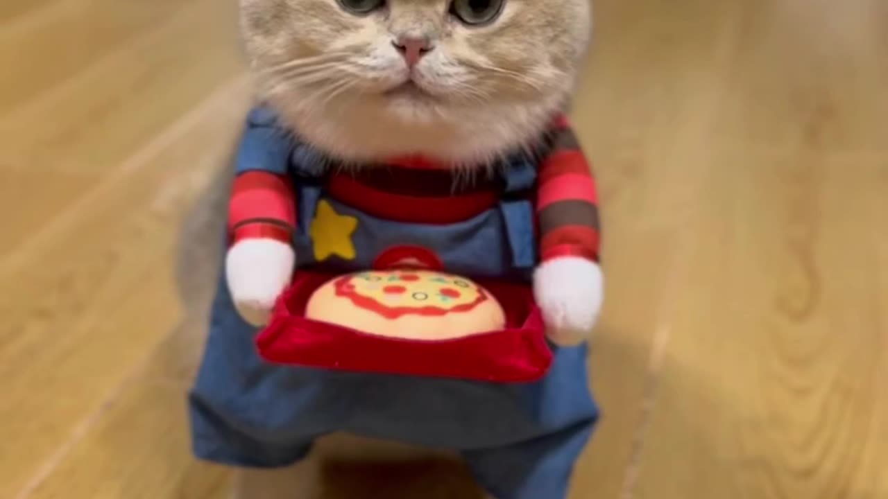 Enjoy you pizza. And don’t forget to leave a tip for your purr-fect waiter