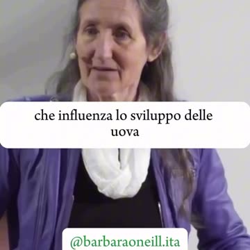Fai attenzione a dove appoggi il tuo laptop (Barbara O'neill)