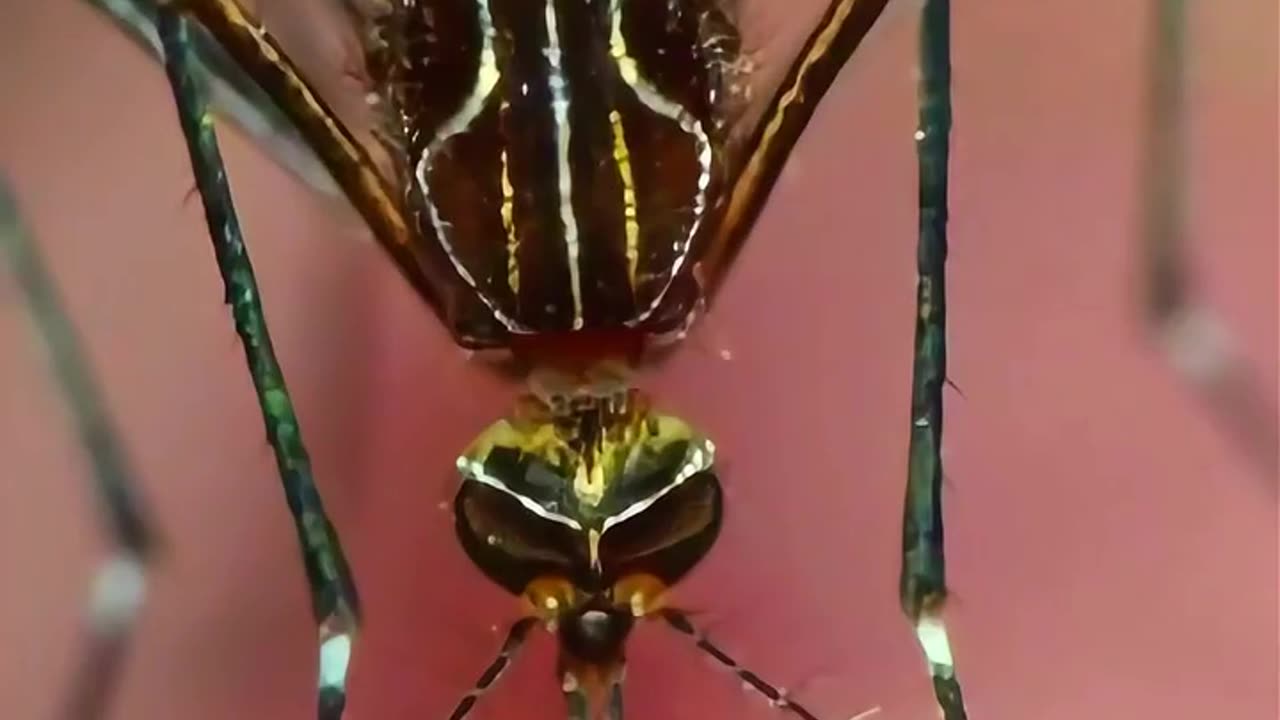 Most Deadly Animals...😱 The Ending Will Shock You_ ☠️