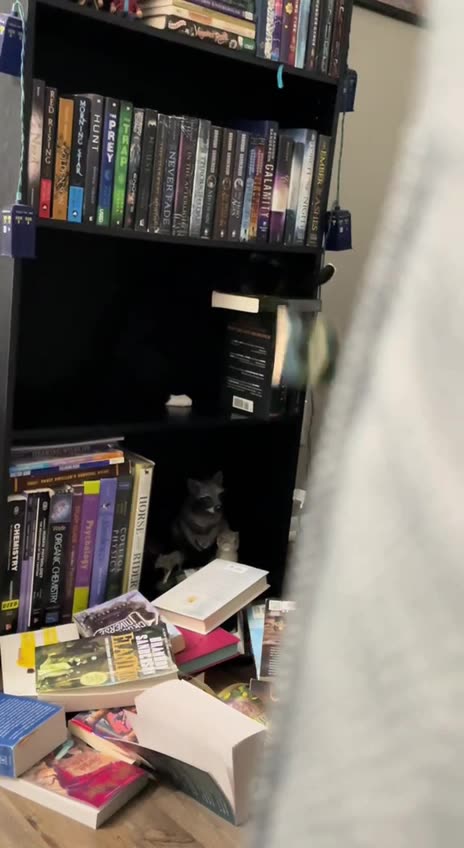 Don’t mind me I am just stretching 😂🤣😂😂