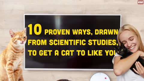 10 Scientific Ways to Get a Cat to Like You Simply