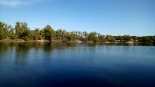 Geese at Watson Park, Wichita, Ks.