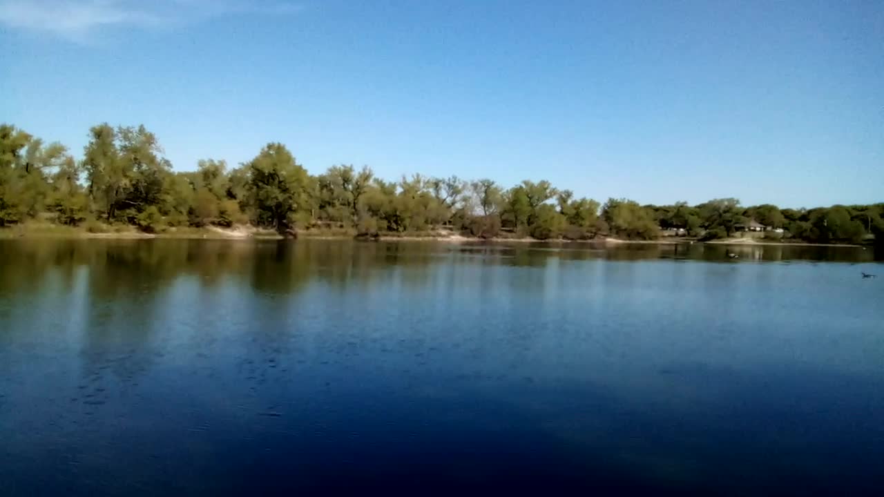 Geese at Watson Park, Wichita, Ks.