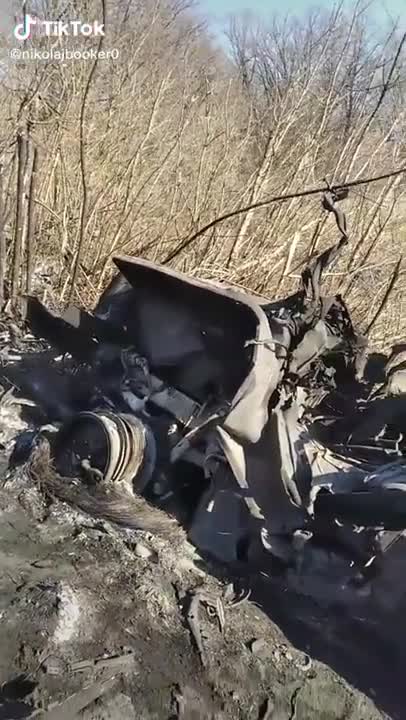 Ukraine Soldiers Inspect Destroyed Russian Column
