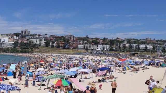 Bondi Beach, Stralya Day!