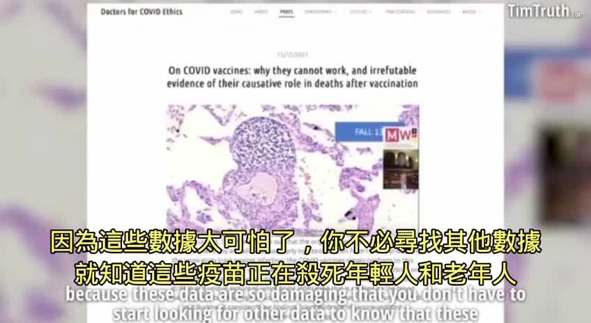 Dr. Bhakdi 警告Covid19實驗針對人們帶來的傷害