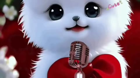 Cat video