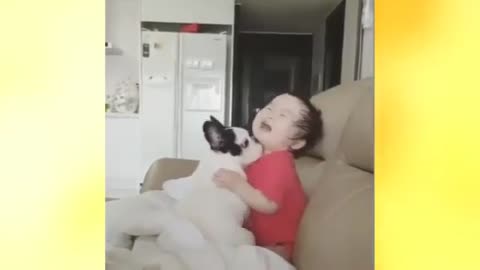 Dog playing with a baby