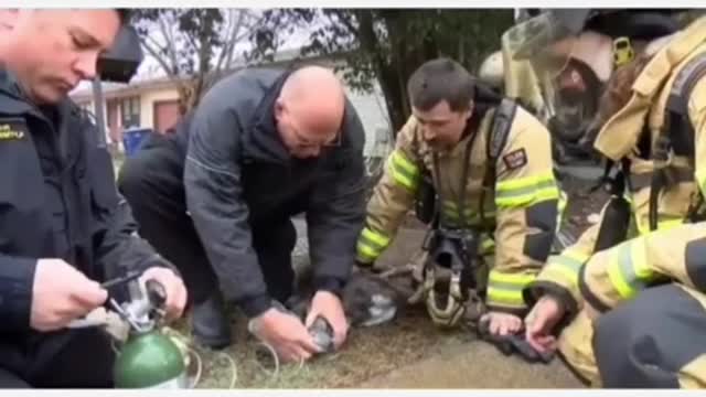 I Need a Hero! Dog Rescue! 🔞Graphic/Sensitive content🔞 #firefighters #heros #rescuedog