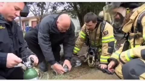 I Need a Hero! Dog Rescue! 🔞Graphic/Sensitive content🔞 #firefighters #heros #rescuedog