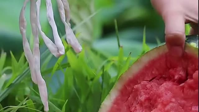 Dream life😋😋😁#usa #asmr #fruit