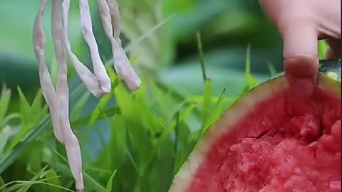 Dream life😋😋😁#usa #asmr #fruit