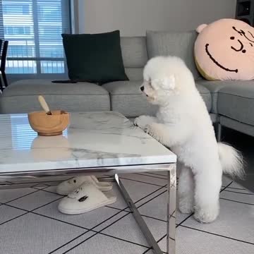 Eat healthy and exercise daily