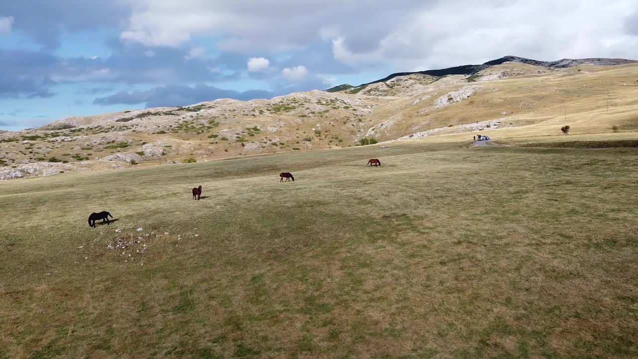 Drone view of mountainous area with horses grazing on pasture