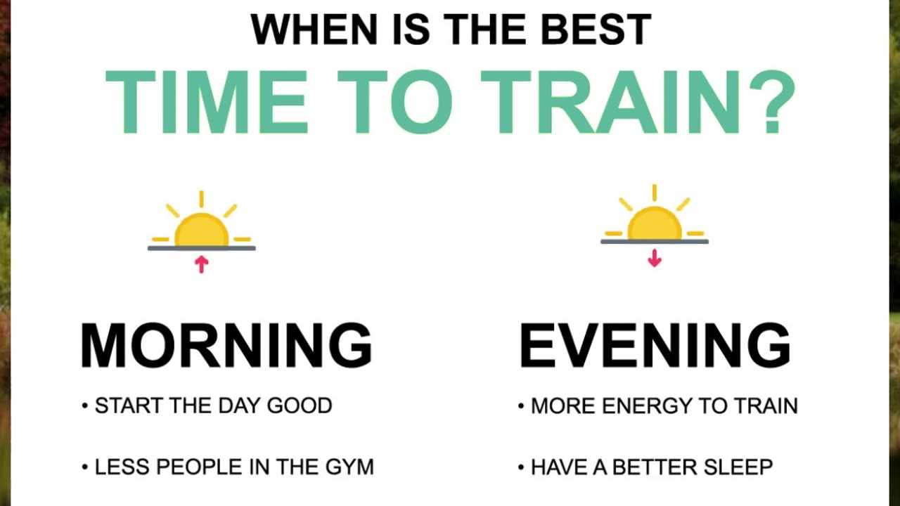 What time is best for training?