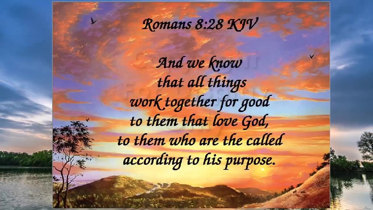 Romans 8:28 kjv