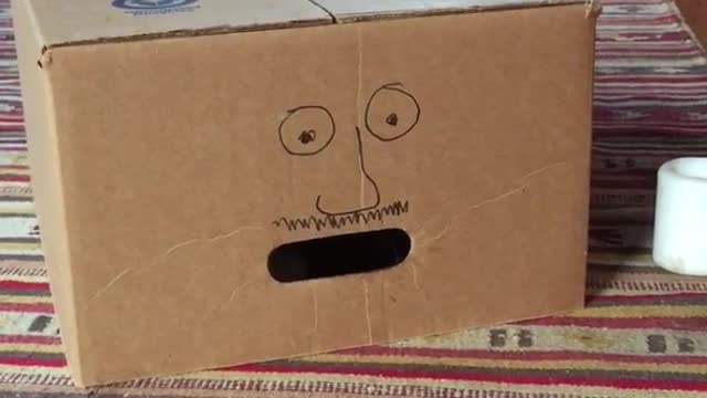 Cat in cardboard box reaches for paint brush