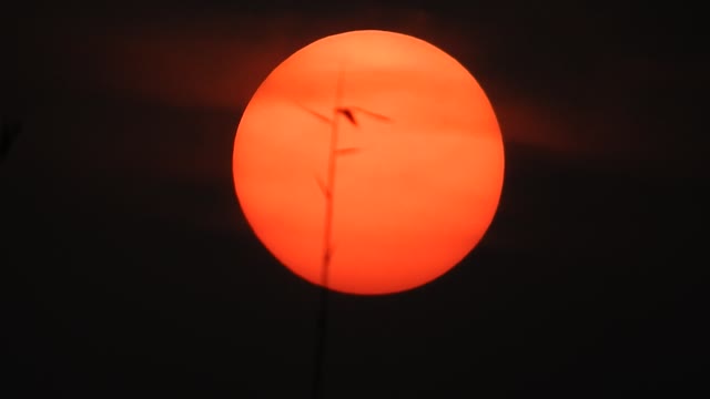 PERFECT SUNSET you can see