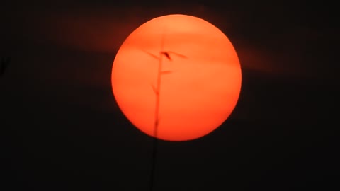 PERFECT SUNSET you can see