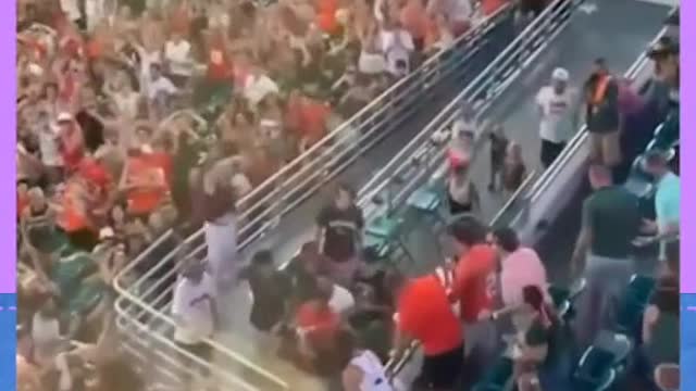 Crowd Safe the day by rescuing cat