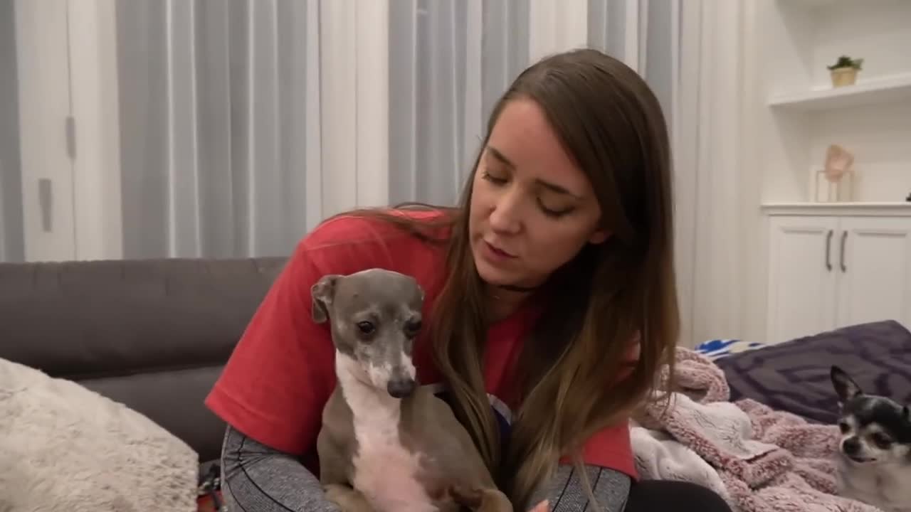 I Filmed My Dog Whenever He Cried Or Was Nasty For 14 Hours