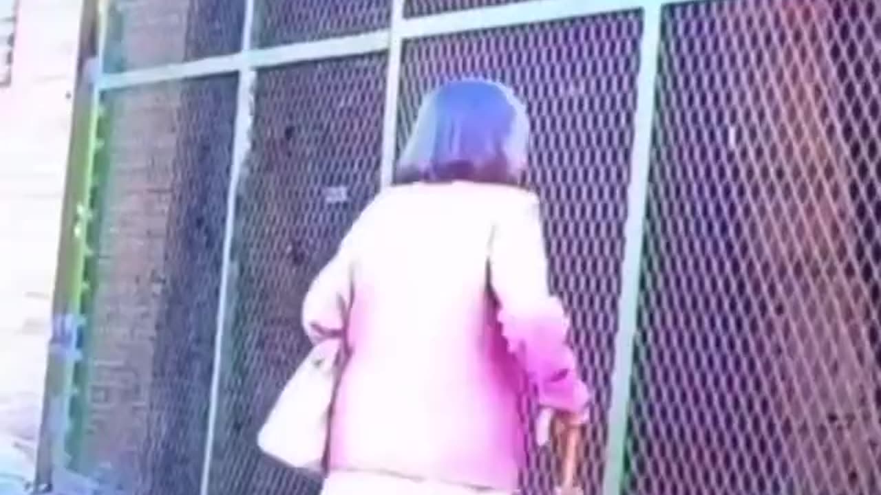 Wall Hacks Enabled