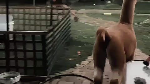 Don't chase