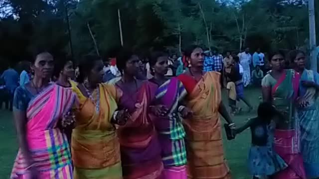 Santali Dance in marriage//SANTALI NACHA