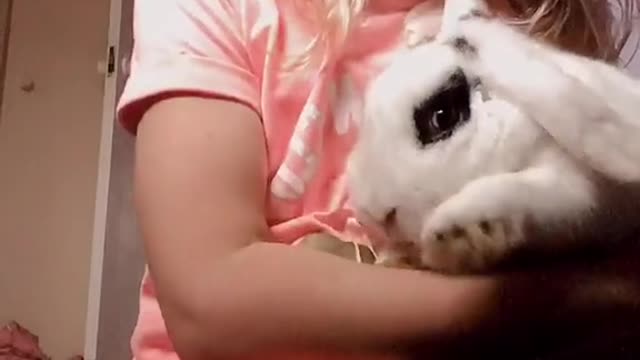 Is it me or my bunny that is cute?