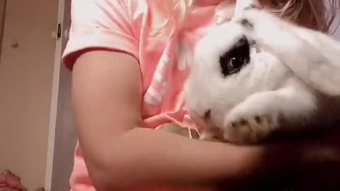 Is it me or my bunny that is cute?