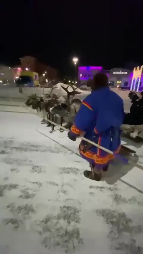 They feed the deer with their own hands