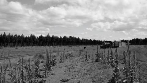 Tren de Vapor La Trochita en Blanco/Negro - Argentina