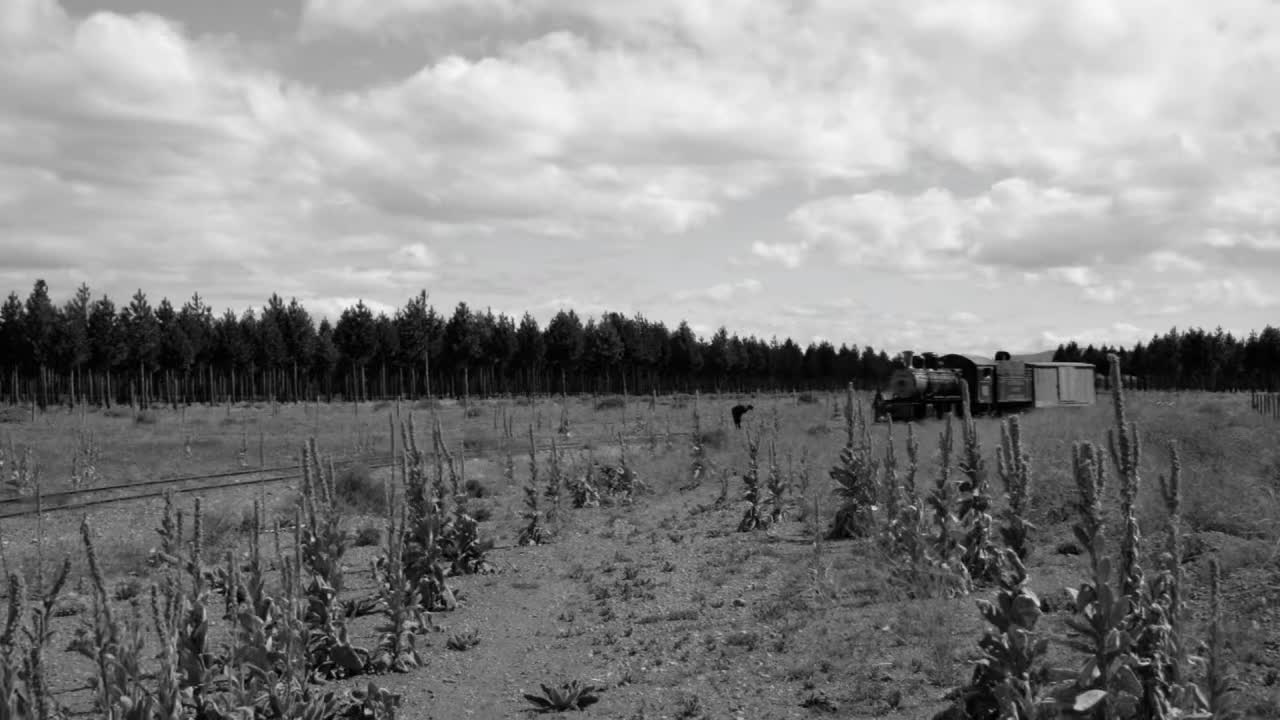 Tren de Vapor La Trochita en Blanco/Negro - Argentina
