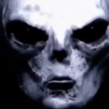 Quais São Seus Planos? Talvez Queiram Reduzir e Vida na Terra