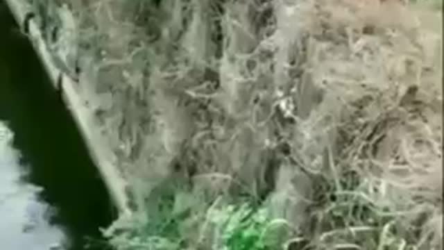 Best funny moment 🤣😂😊