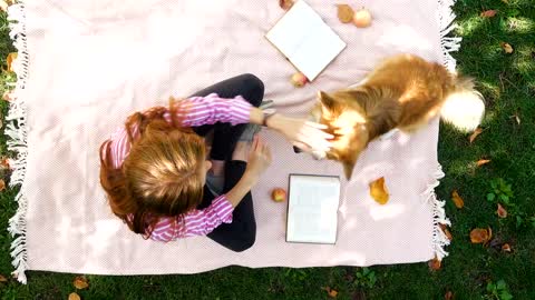 Woman with corgi dog in the park