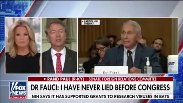 Senator Rand Paul Calls Out Dr Fauci's Special Interests