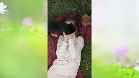 Amazing beautiful girl play with dogs