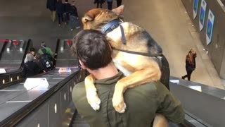 Scared Doggy Gets Carried Down The Escalator