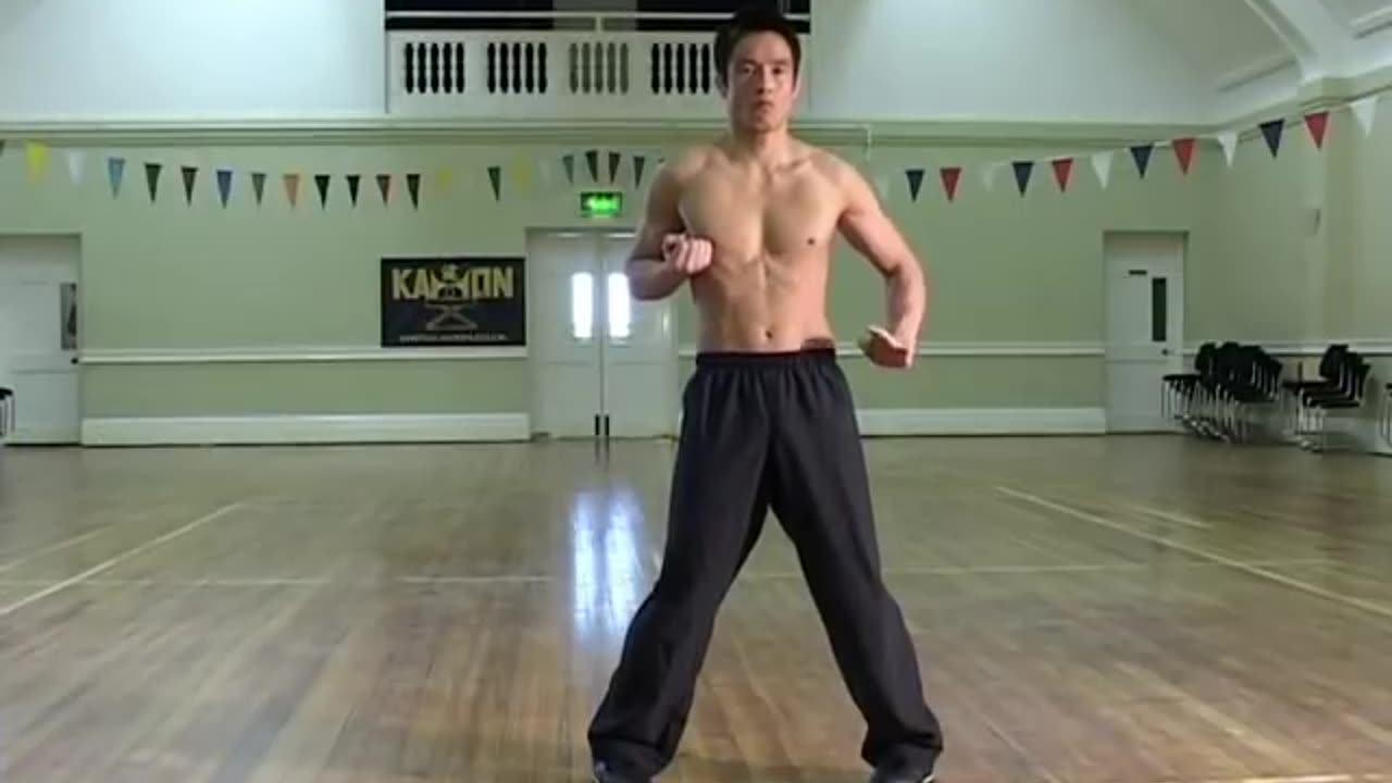 Kungfu WingChun style tutorial