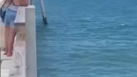 Florida Man Jumps From Pier