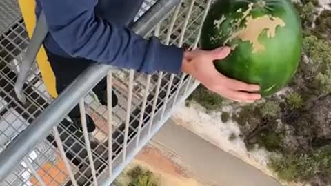 Watermelon Vs World's Largest Exercise Ball