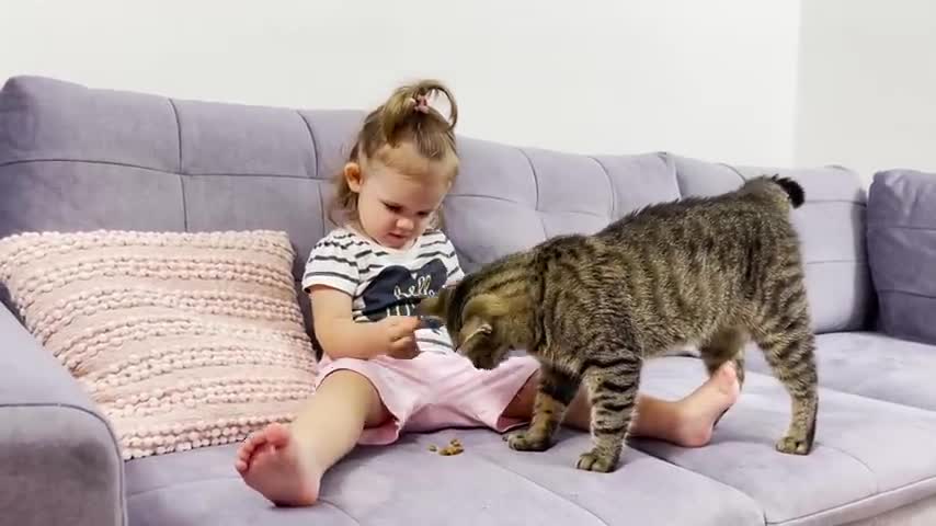 Cute_Baby_Feeds_a_Cat_With_Cat_Treats