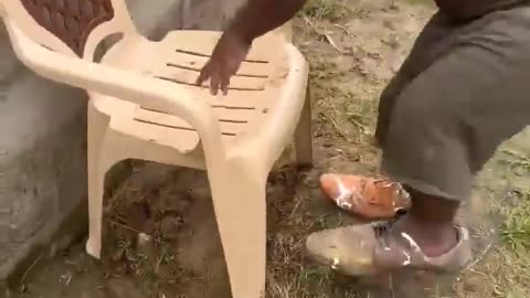 Le poulet