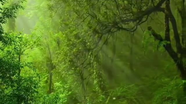 The most beautiful landscape I will ever see