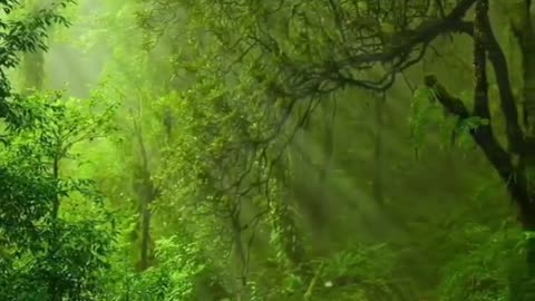 The most beautiful landscape I will ever see