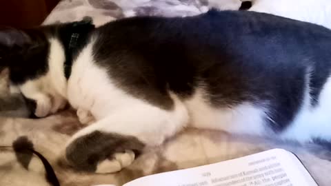 Nix, just dreaming...