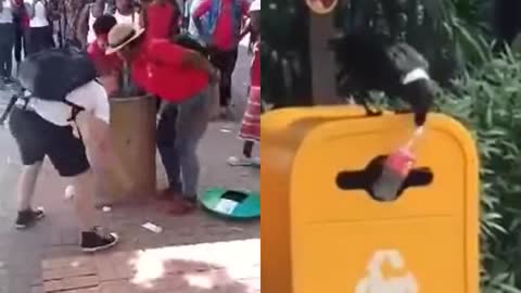 When a bird can do it