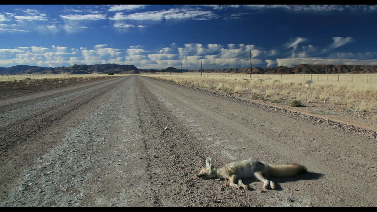 rOAD kILL